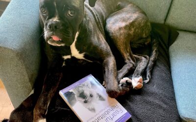 “Fearful Dog Rehabilitation – Life With A Puppy Farm Rescue” by Sally Gutteridge