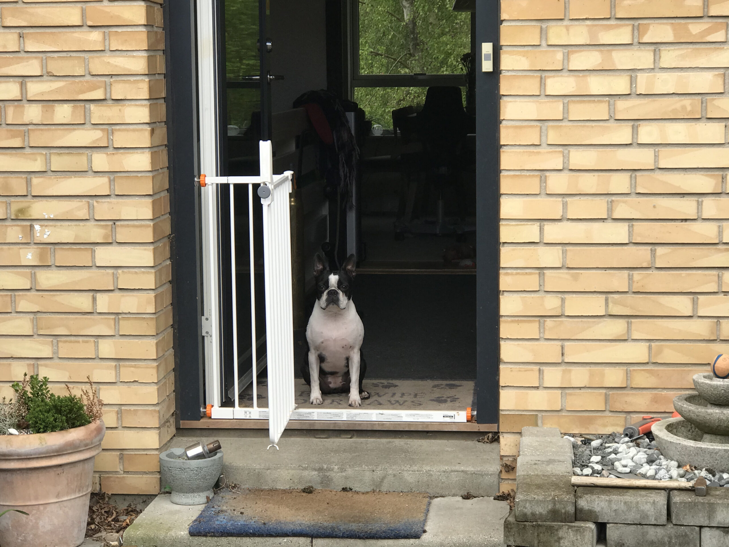 Picture of Akira waiting in the door