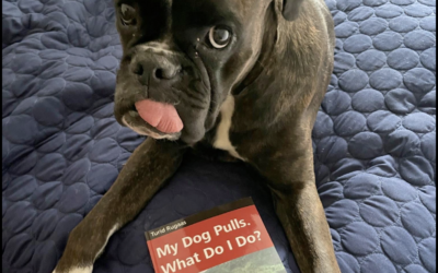 “My Dog Pulls. What do I do?” by Turid Rugaas